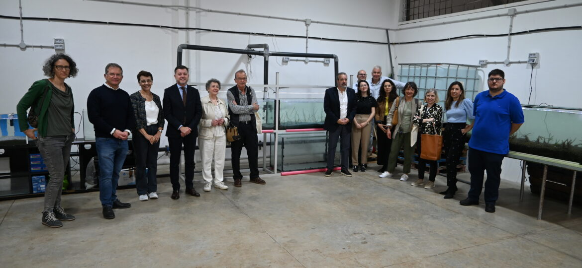 ALGAS IN VITRO PARA REPOBLAR LAS ZONAS COSTERAS DEGRADADAS